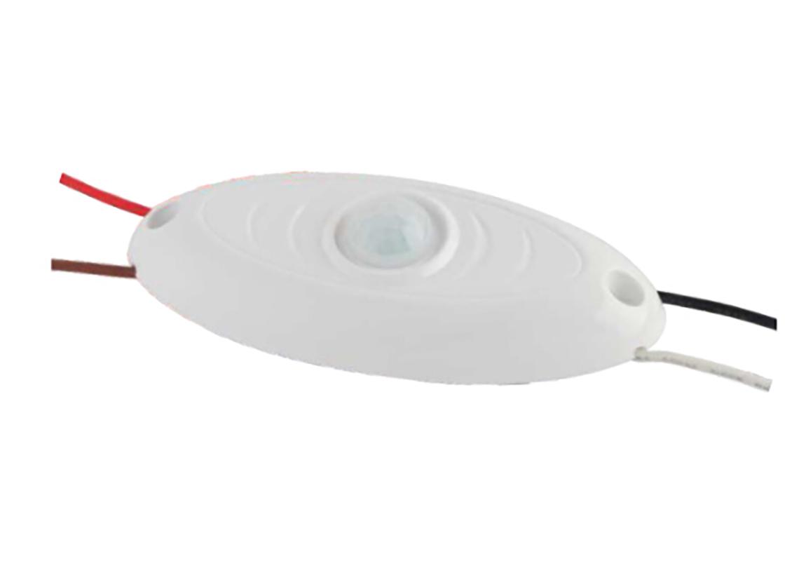 PIR SENSOR 10MN 12/24V